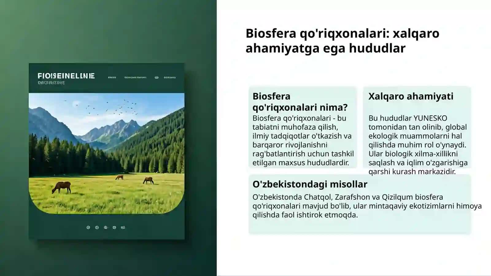 Hududiy taqsimoti 3