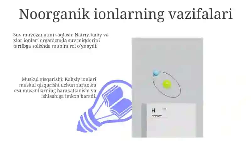 Noorganik ionlar va ularning funksiyalari 3