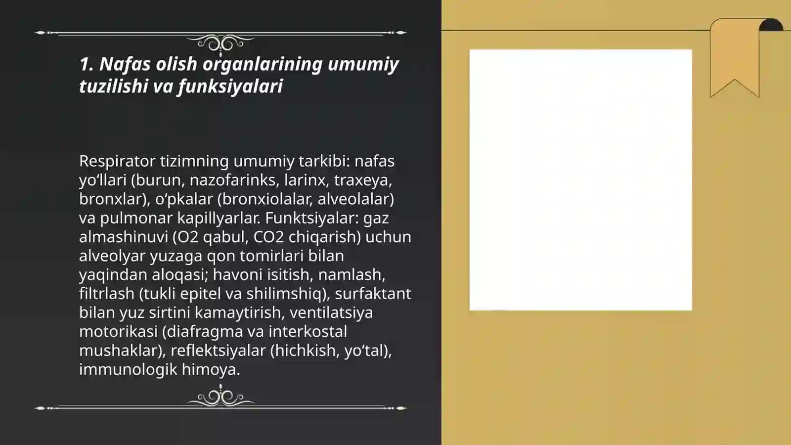Nafas olish organlari tuzilishi, filogenezi va ahamiyati 3