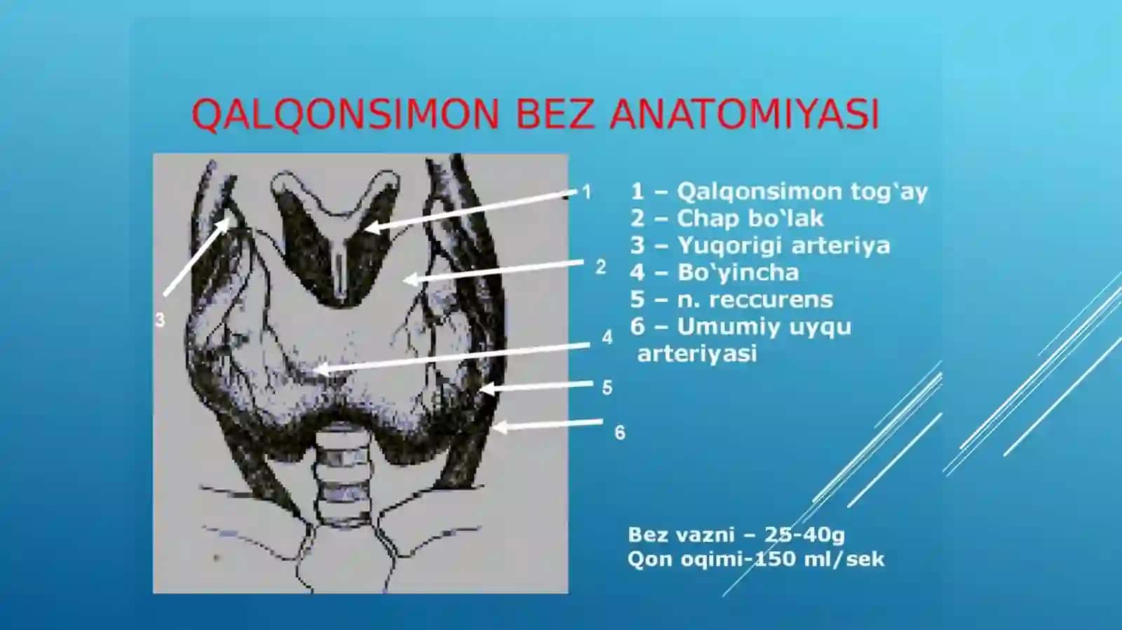 Endemik buqoq va gipotireoz patogenezlari va davolash usullari 3