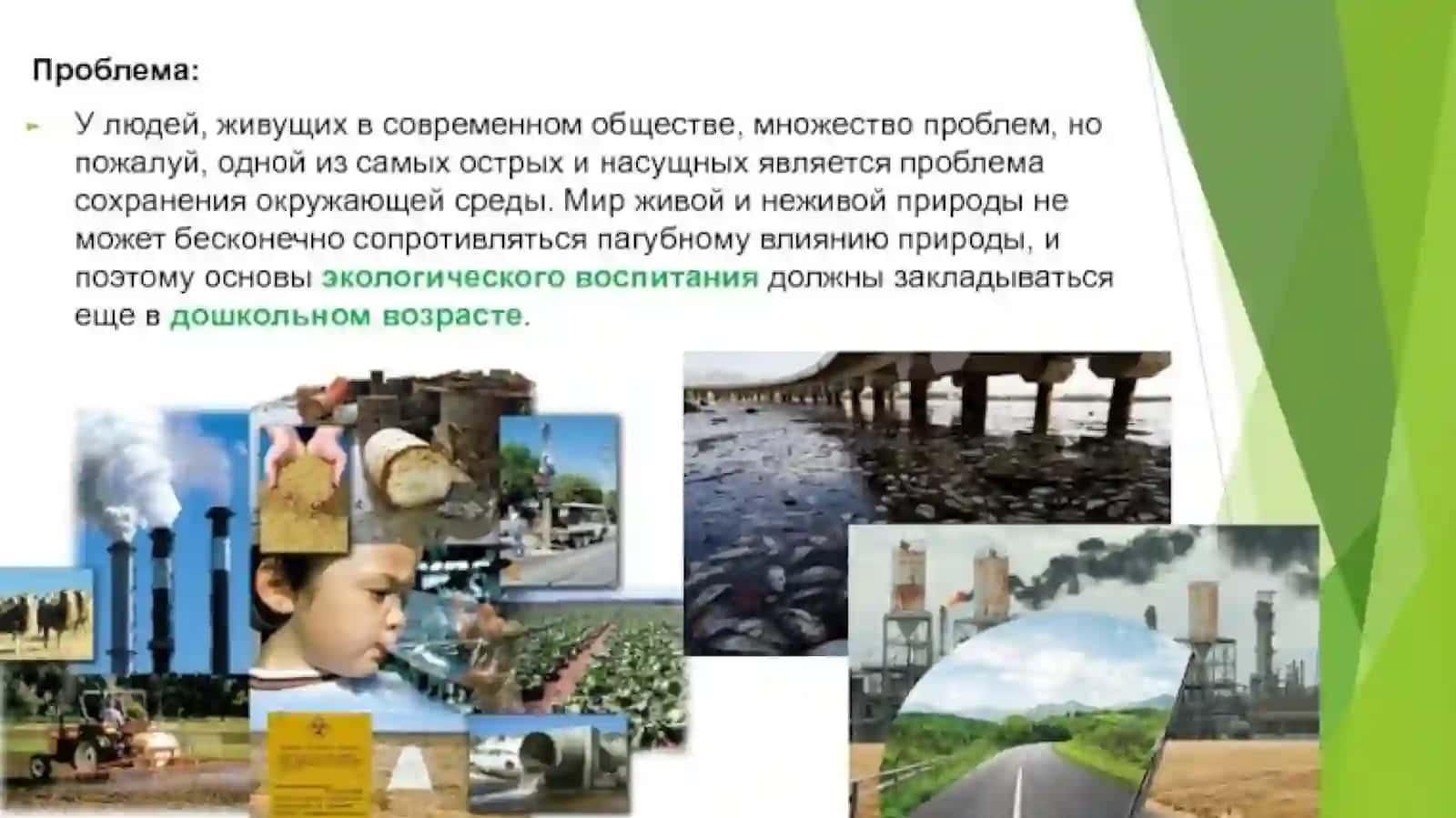 Наглядные пособия и их роль в экологическом воспитании детей 3