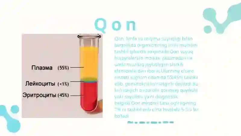 Ichki muhit toʻqimalari - qon 3
