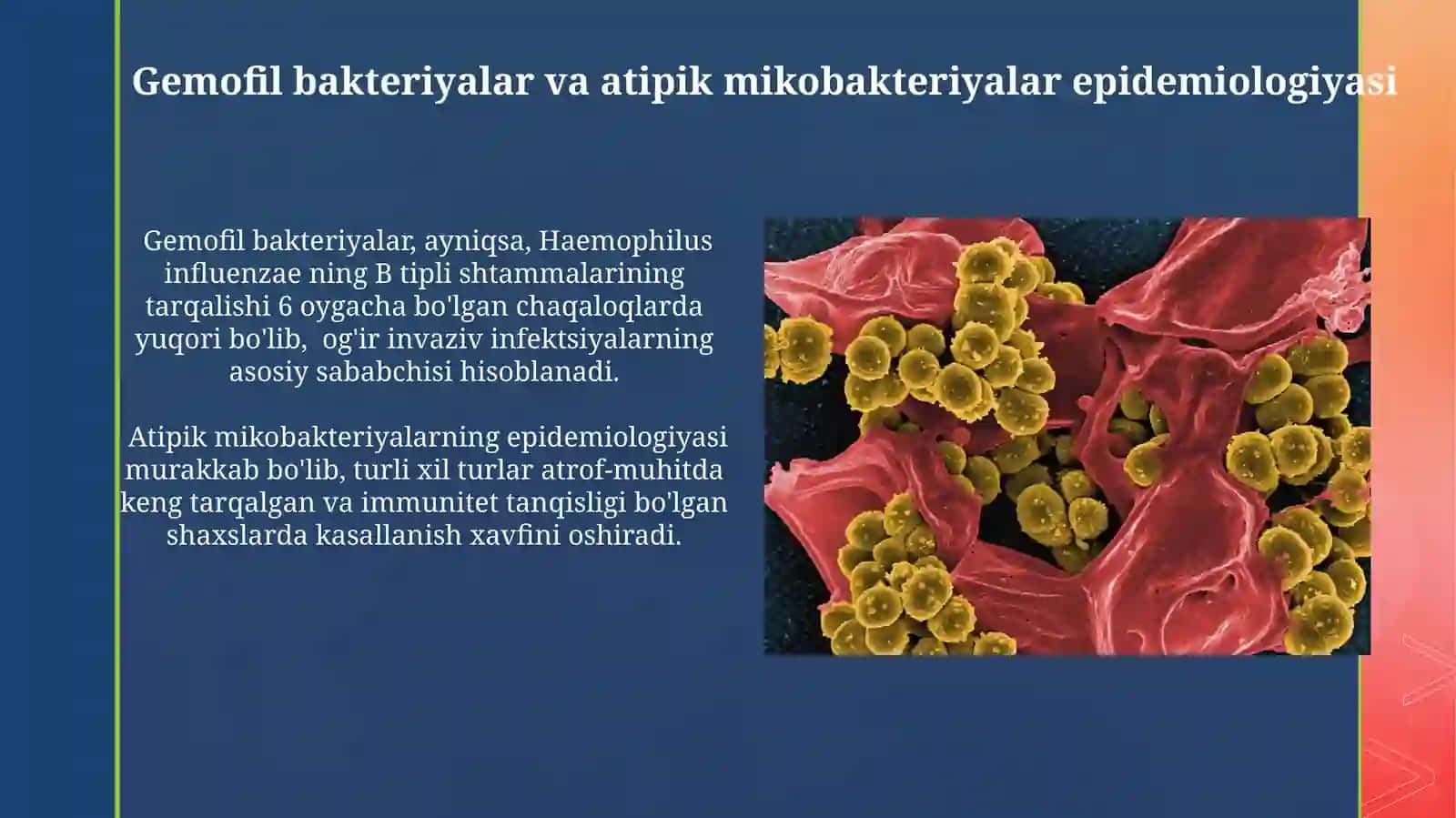Gemofil Bakteriyalar va Atipik Mikobakteriyalar: Klinik Ahamiyati 3