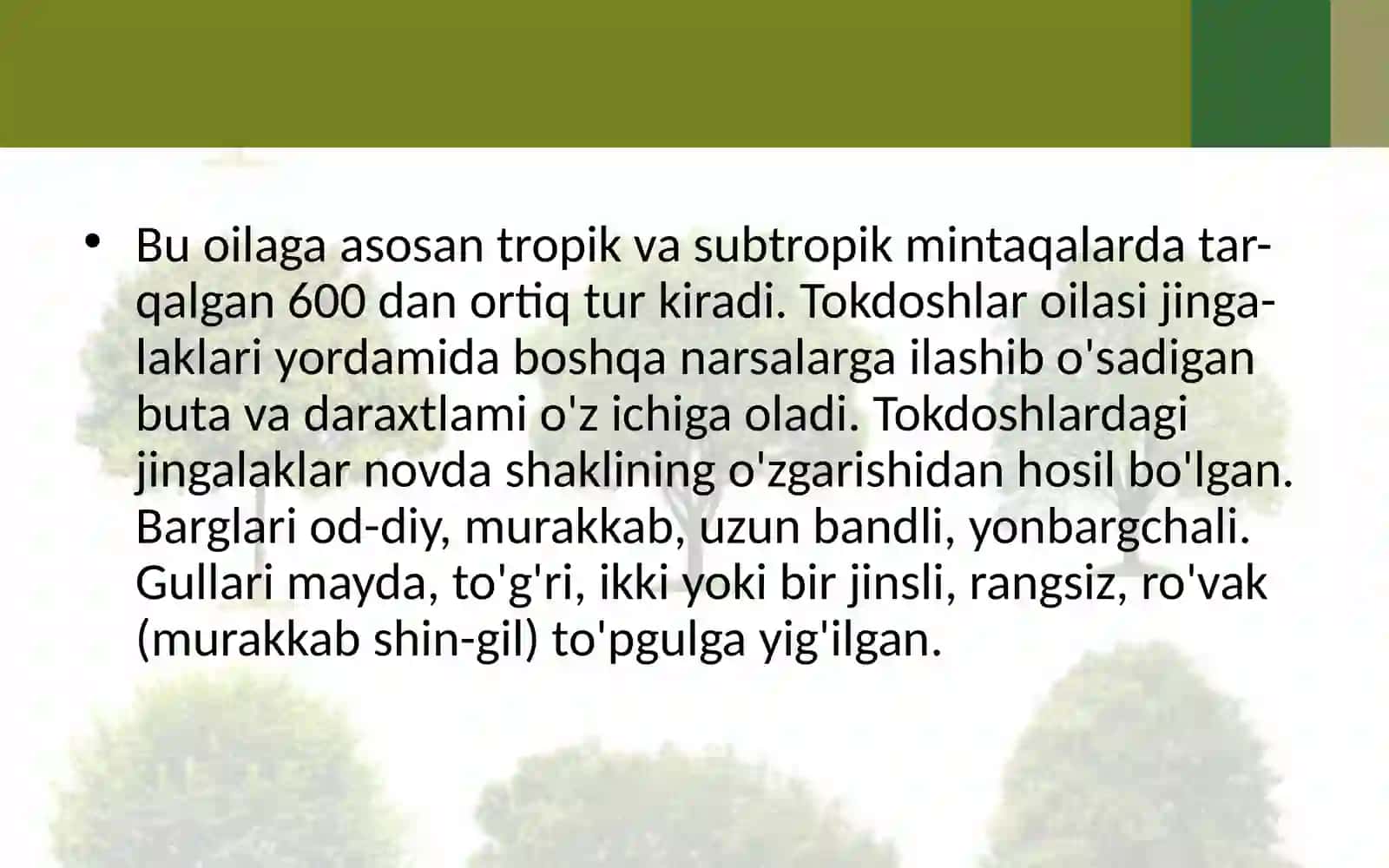 TOKDOSHLAR OILASI 3