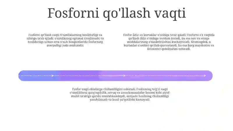 Fosforli O'G'Itlarning Qo'Llash Muddatlarining O'Simlikning Hosili Va Sifatiga Ta'Siri 3