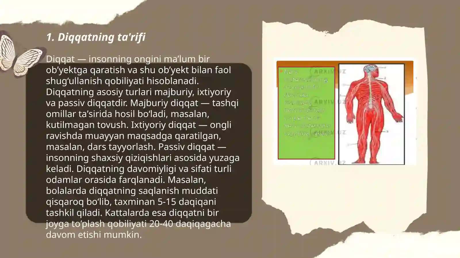 Diqqat haqida tushuncha va uning nerv fiziologik asoslari 3