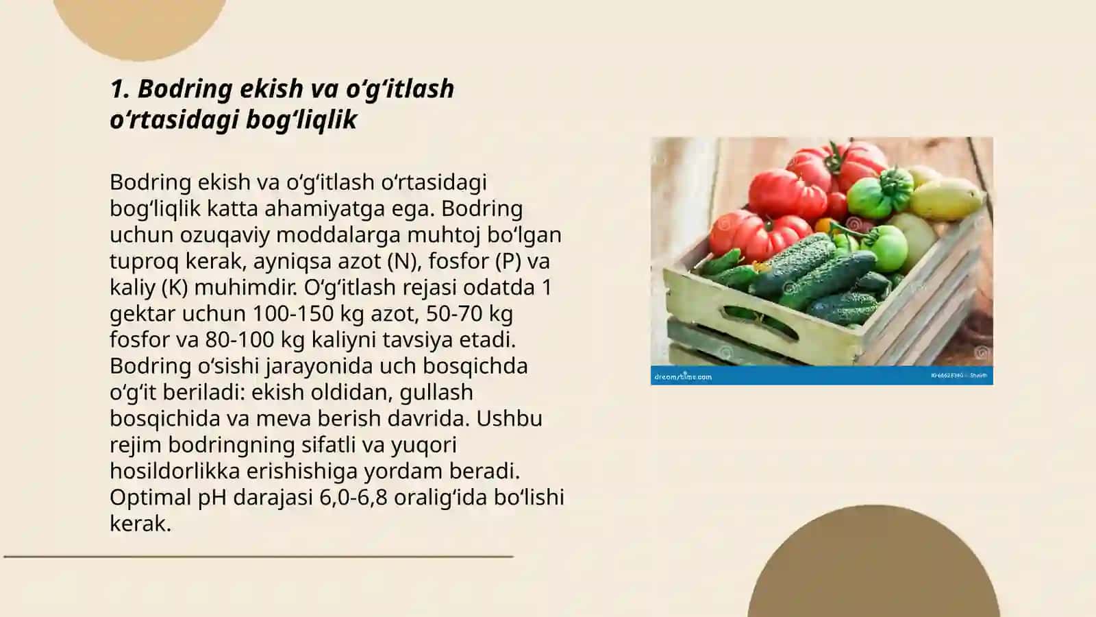 Bodring va pomidorni o‘g‘itlash 3