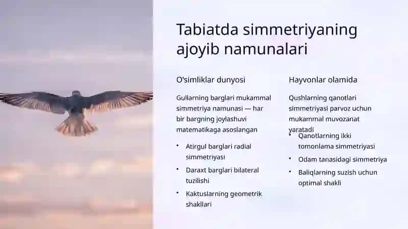 Tabiatda va Texnikada Simmetriya 3