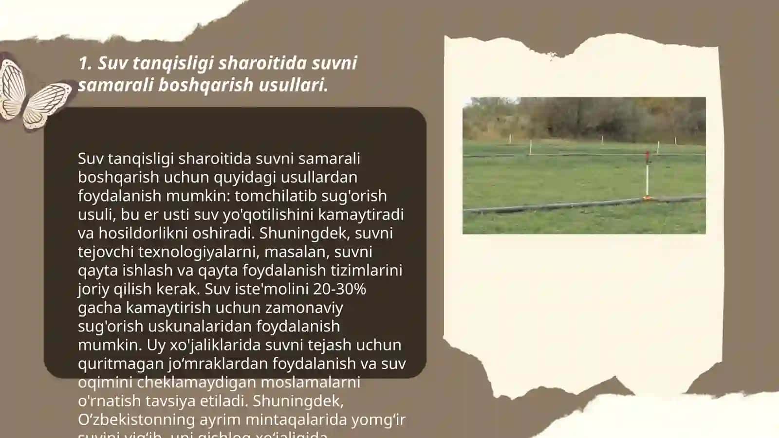 Suw tansiqligʻi sharayatinda awil xojaliq eginleri 3