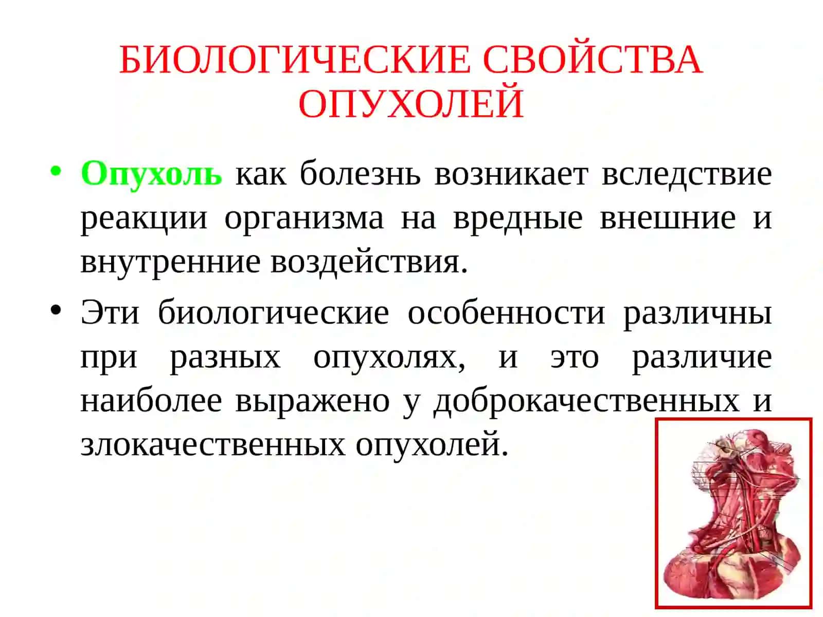 ЛЕКЦИЯ НА ТЕМУ: Злокачественные опухоли кожи лица, красной каймы губ и слизистой полости рта 3