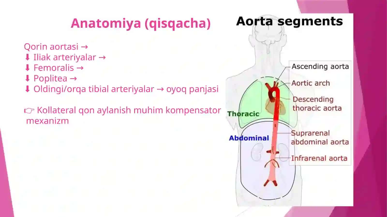 Qorin aortasi va oyoq arteriyalari okklyuzion kasalliklari. Endovaskulyar xirurgiya 3