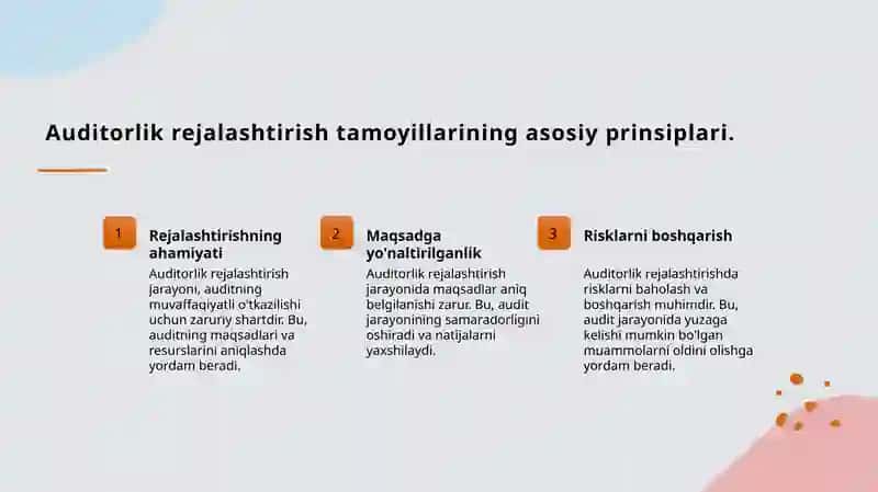 Auditorlik tekshiruvini rejalashtirishning tamoyillari va bosqichlari 3