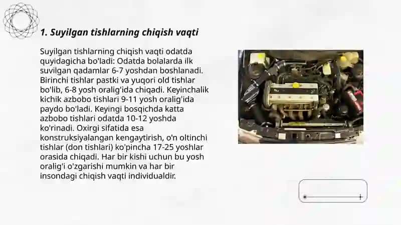 SUT VA DOIMIY TISHLARNING CHIQISH VAQTI, ILDIZLARINING SHAKLLANISH VA SUT TISHLAR ILDIZLARINING SOʻRILISH MUDDATLARI. 3