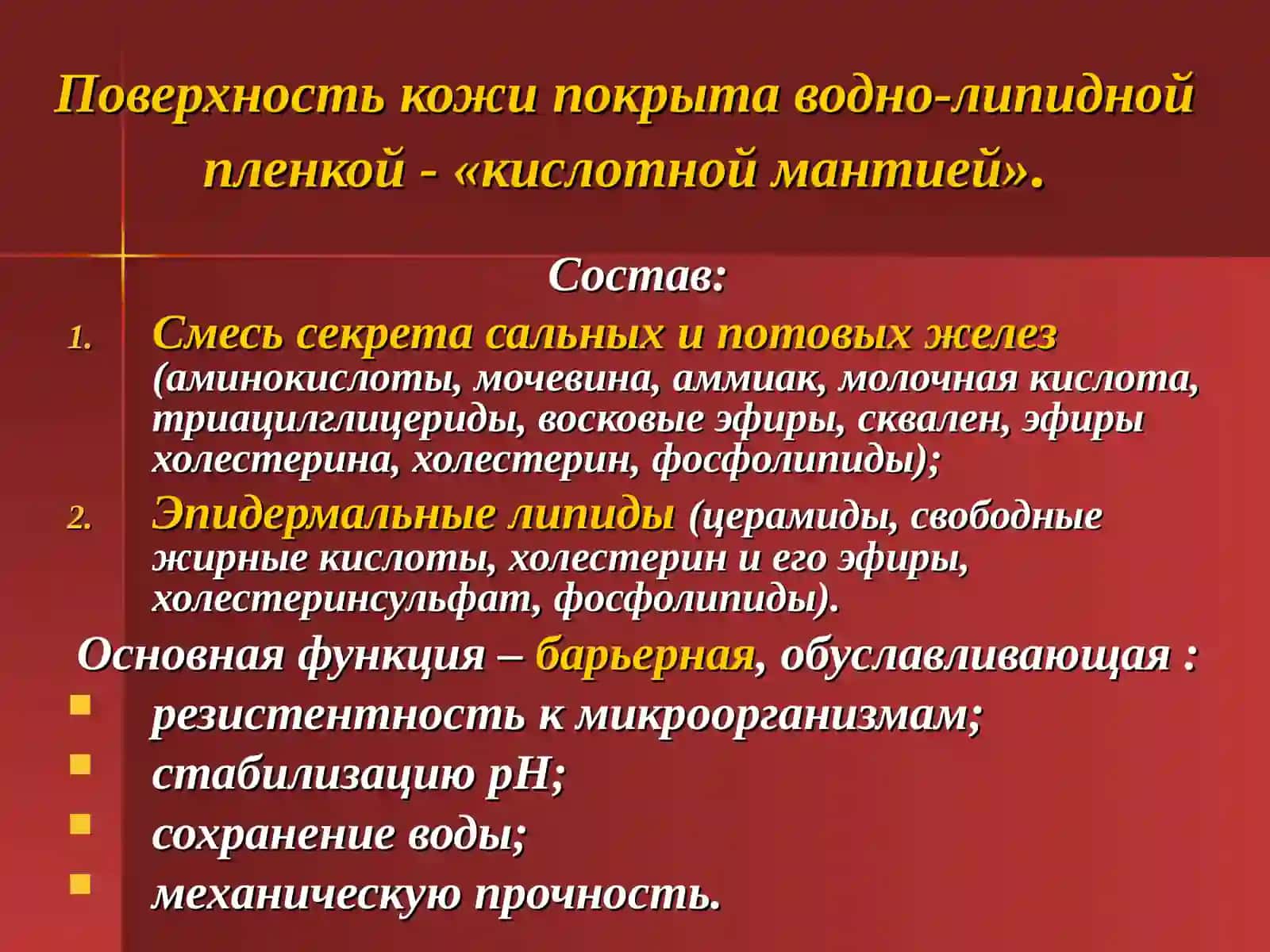 Кожаи кожные производные 3