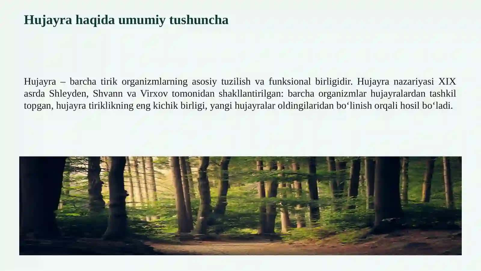 O‘SIMLIK HUJAYRASINING TUZILISHI VA VAZIFALARI 3