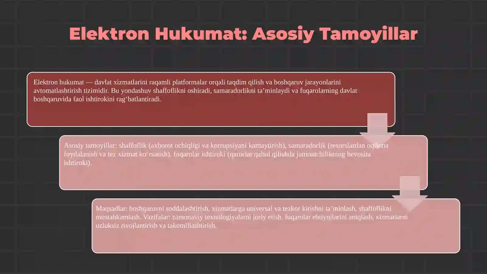 Elektron Hukumat: Asosiy Tamoyillar 3
