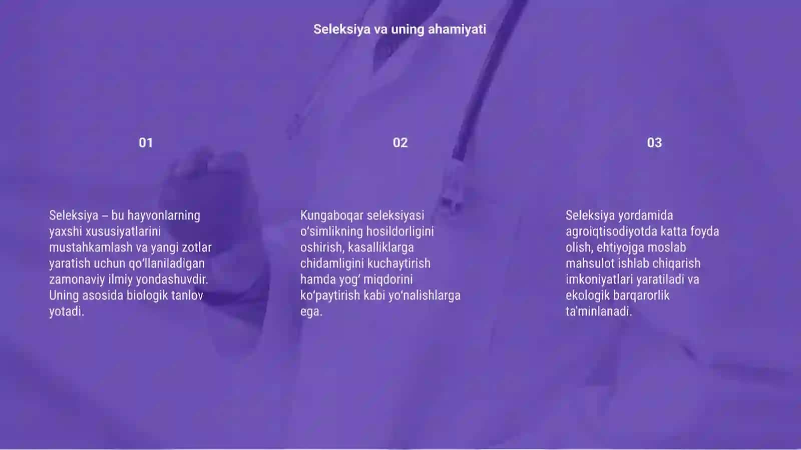 Kungaboqar seleksiyasining yoʻnalishlari 3