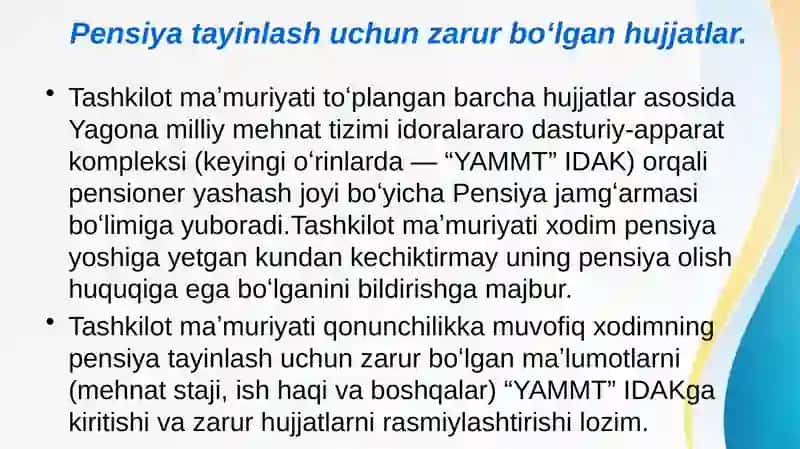DAVLAT PENSIYALARINI TAYINLASH VA TOʻLASH TARTIBI 3