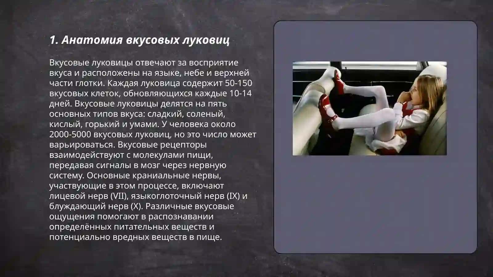 Морфофункциональная характеристика органа вкуса 3