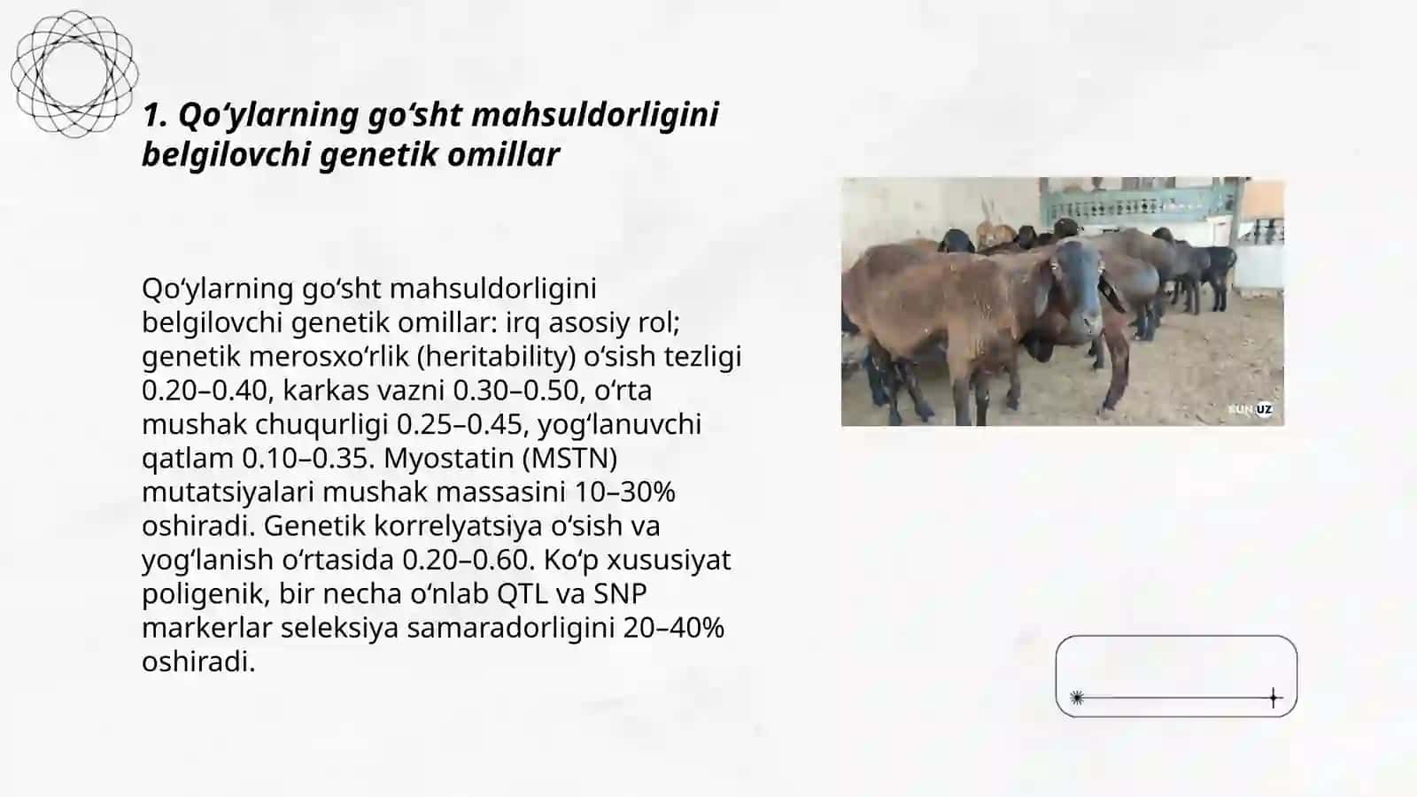 Qo‘ylarning go‘sht mahsuldorligi, ularning semizligi, sifat darajasi va tabaqalanishi 3