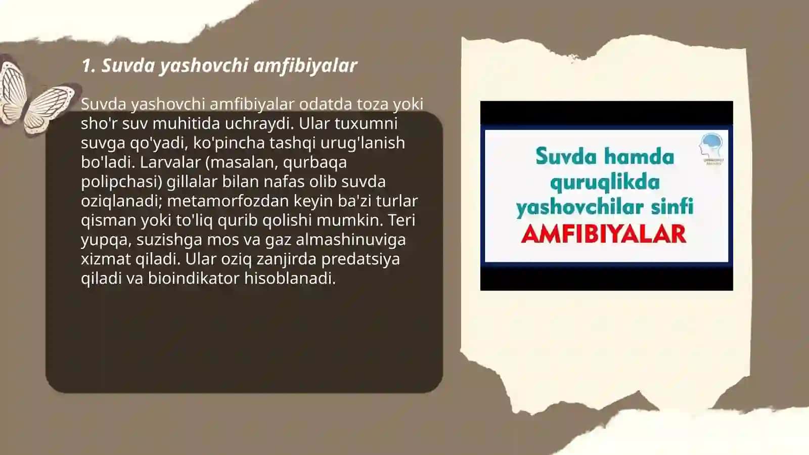 Amfibiyalarning asosiy ekologik guruhlari 3