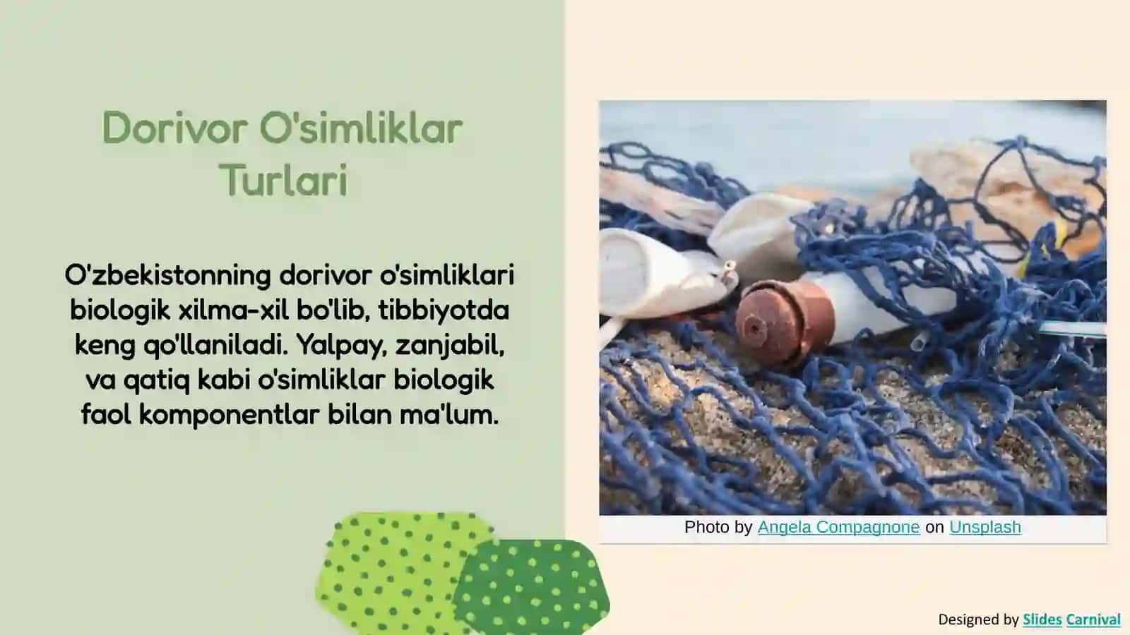 Mehnat-mehnatning tagi rohat. O'zbekistonning dorivor o'simliklari 3