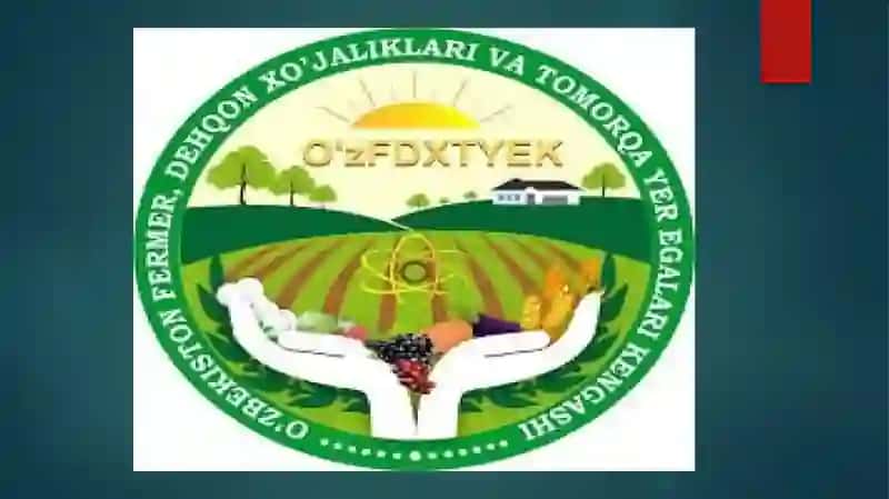 Fermer xo’jaliklari faoliyati iqtisodiy asoslari va uni takomillashtirish yo’llari 3
