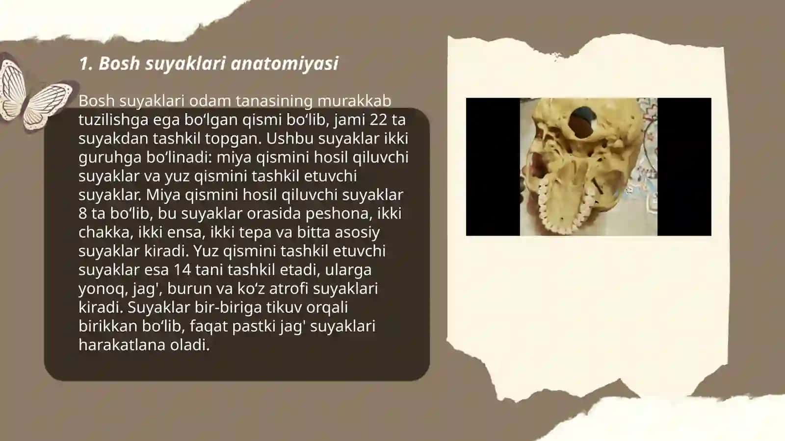 Butun kalla suyaklari 3