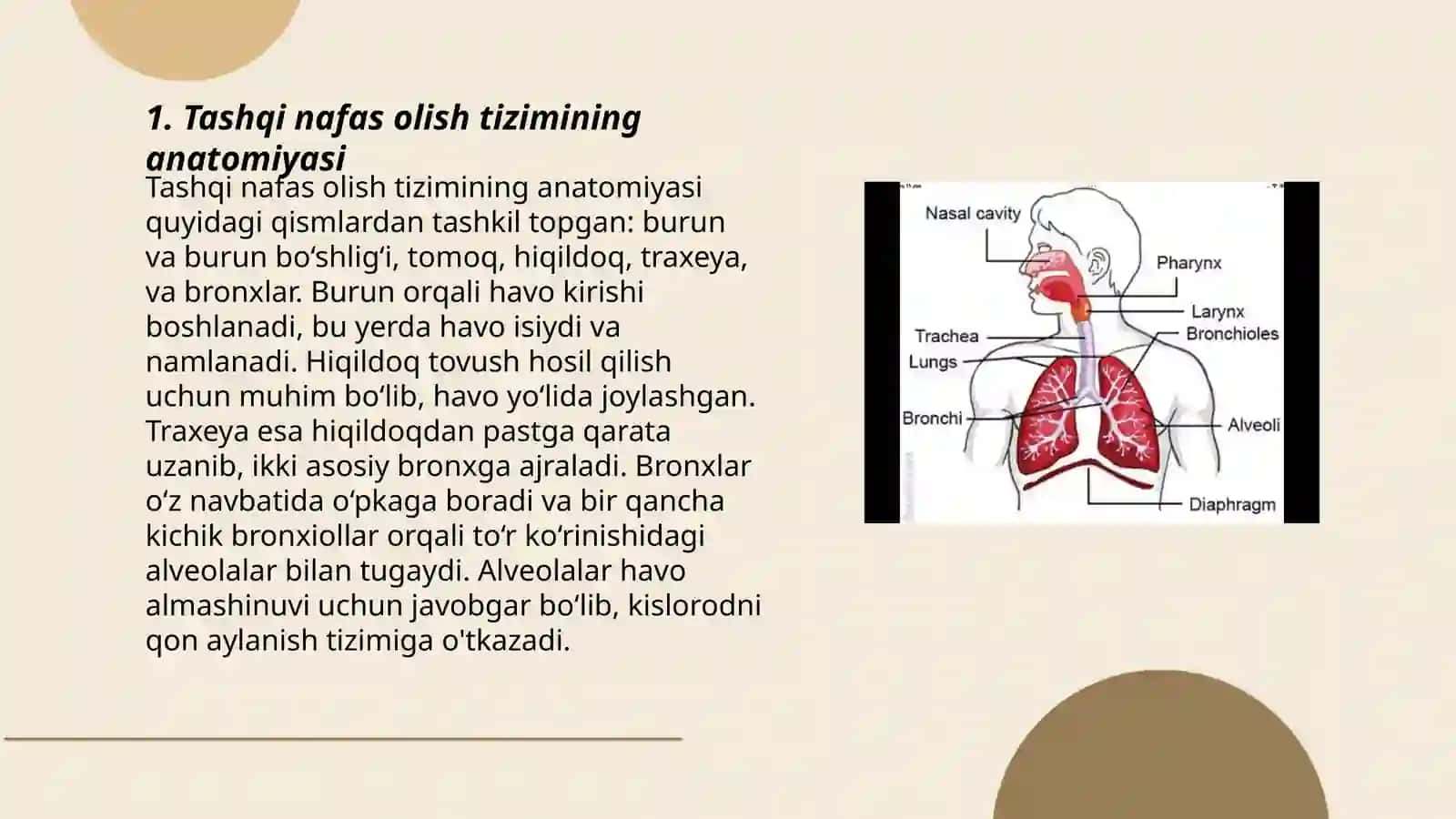 Tashqi nafas olish faoliyatini o'rganish 3