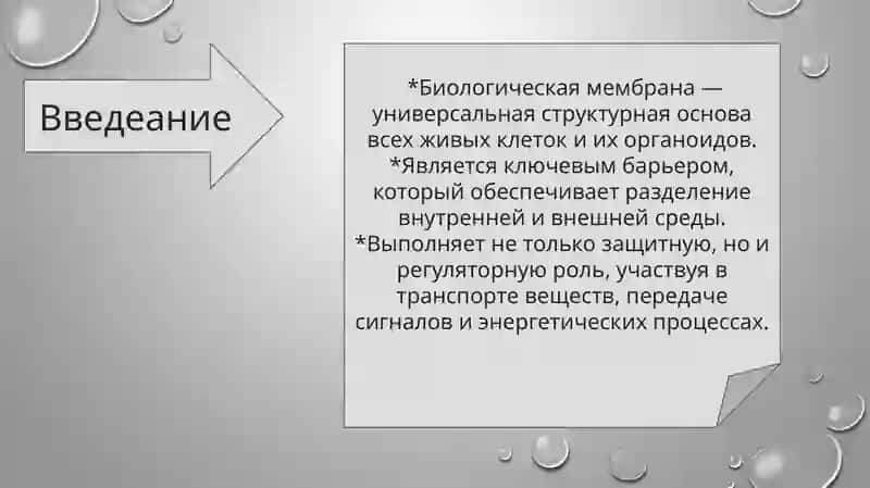 слайд,презинтация,slayd 3