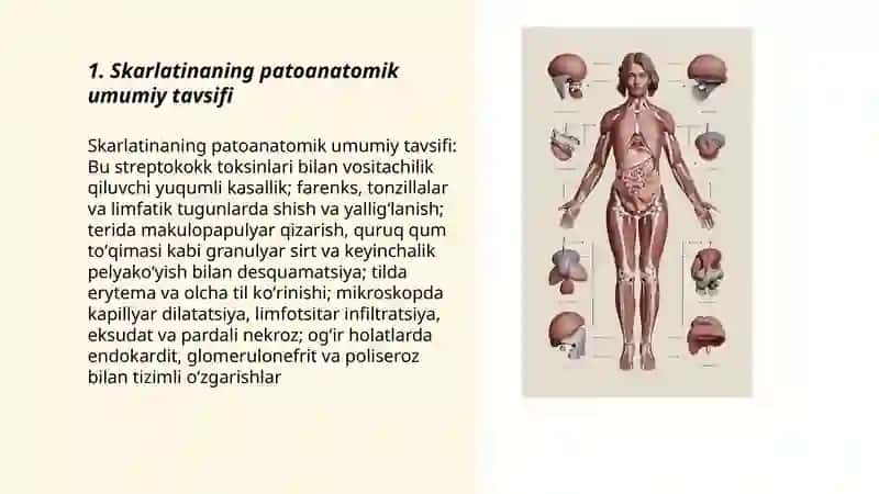 Skarlatina. Uning patologik anatomiya 3