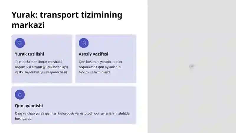 Transport funksiyasining anatomiyasi 3