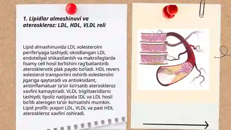 Ateroskleroz rivojlanishining biokimyoviy asoslari.O’t-Tosh kasalliklari 3