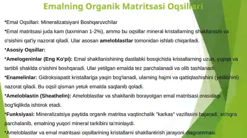 Tish qattiq to'qimasi va yumshoq to'qimasi oqsillar 3