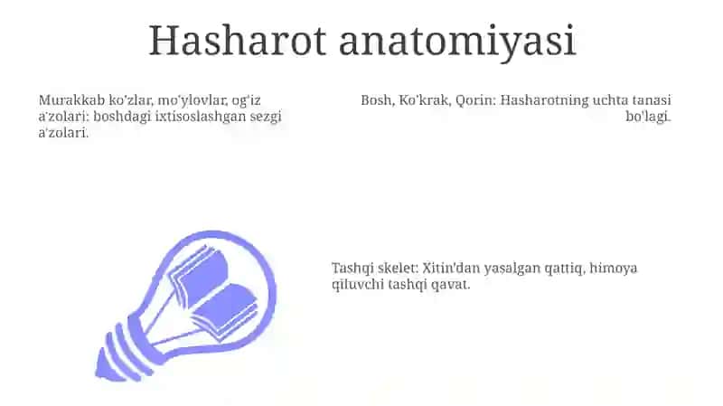 Hasharot anatomiyasi 3