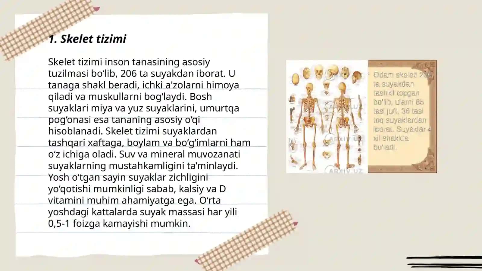 Odam tanasining anatomik tuzilishi haqida maʼlumot 3