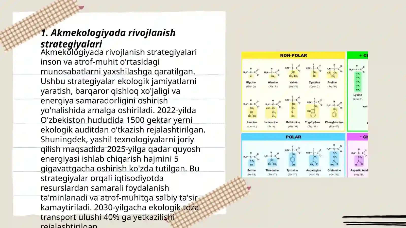Akmekologiyada rivojlanish strategiyalari 3