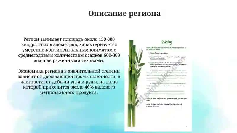 Экологическая проблема моего региона 3