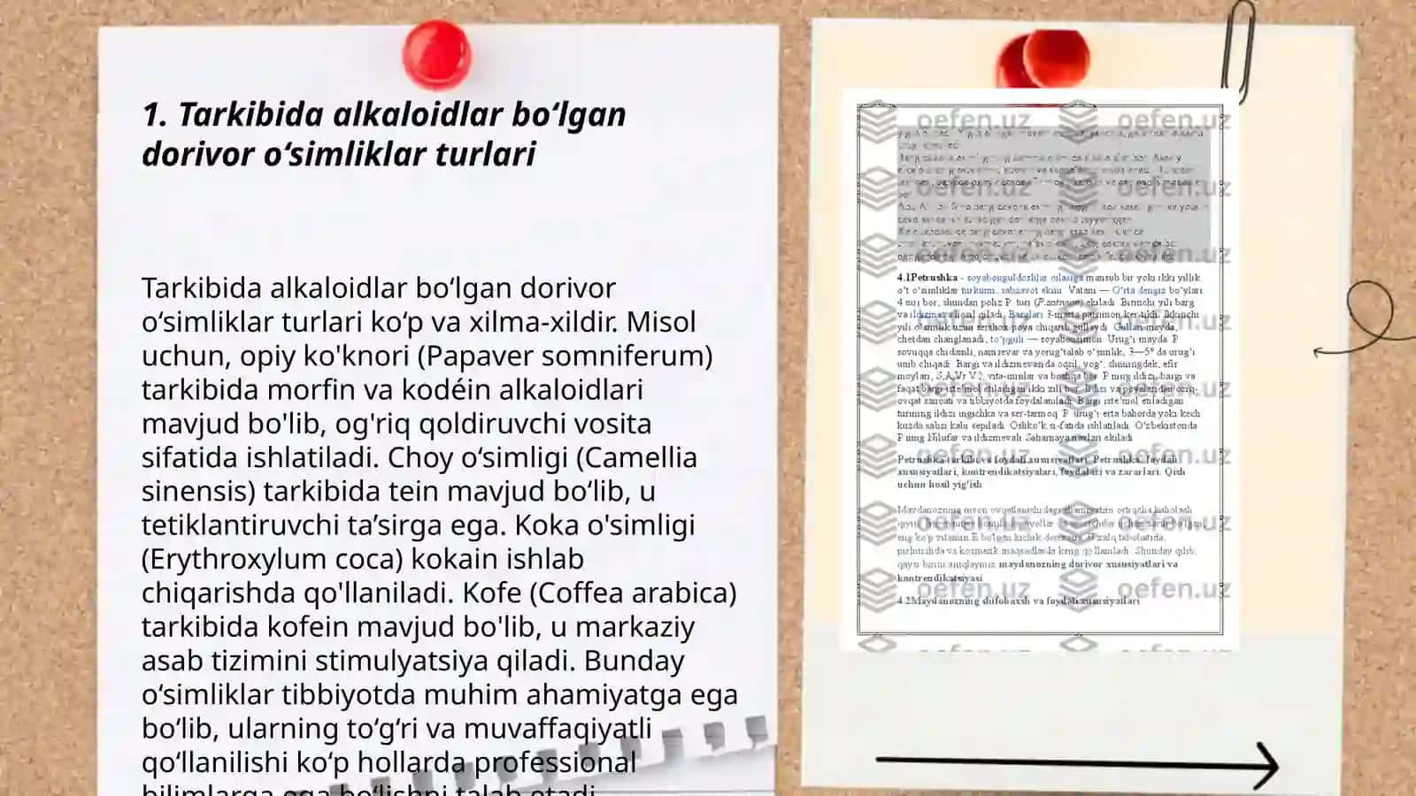 Tarkibida alkaloidlar bo‘lgan dorivor o‘simliklar gerbariylari va mahsulotlarini o‘rganish 3
