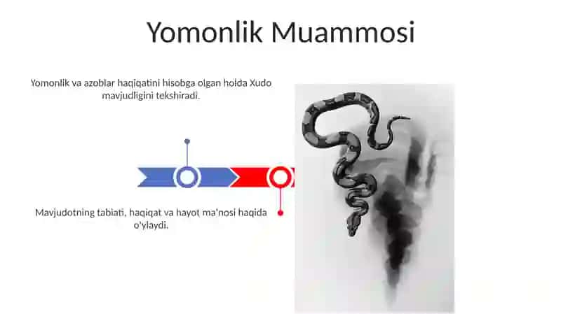 Borliq falsafasi 3