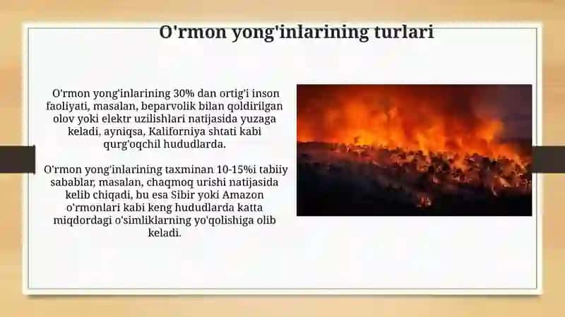 O'rmonlardagi yong'inlar muammosi 3