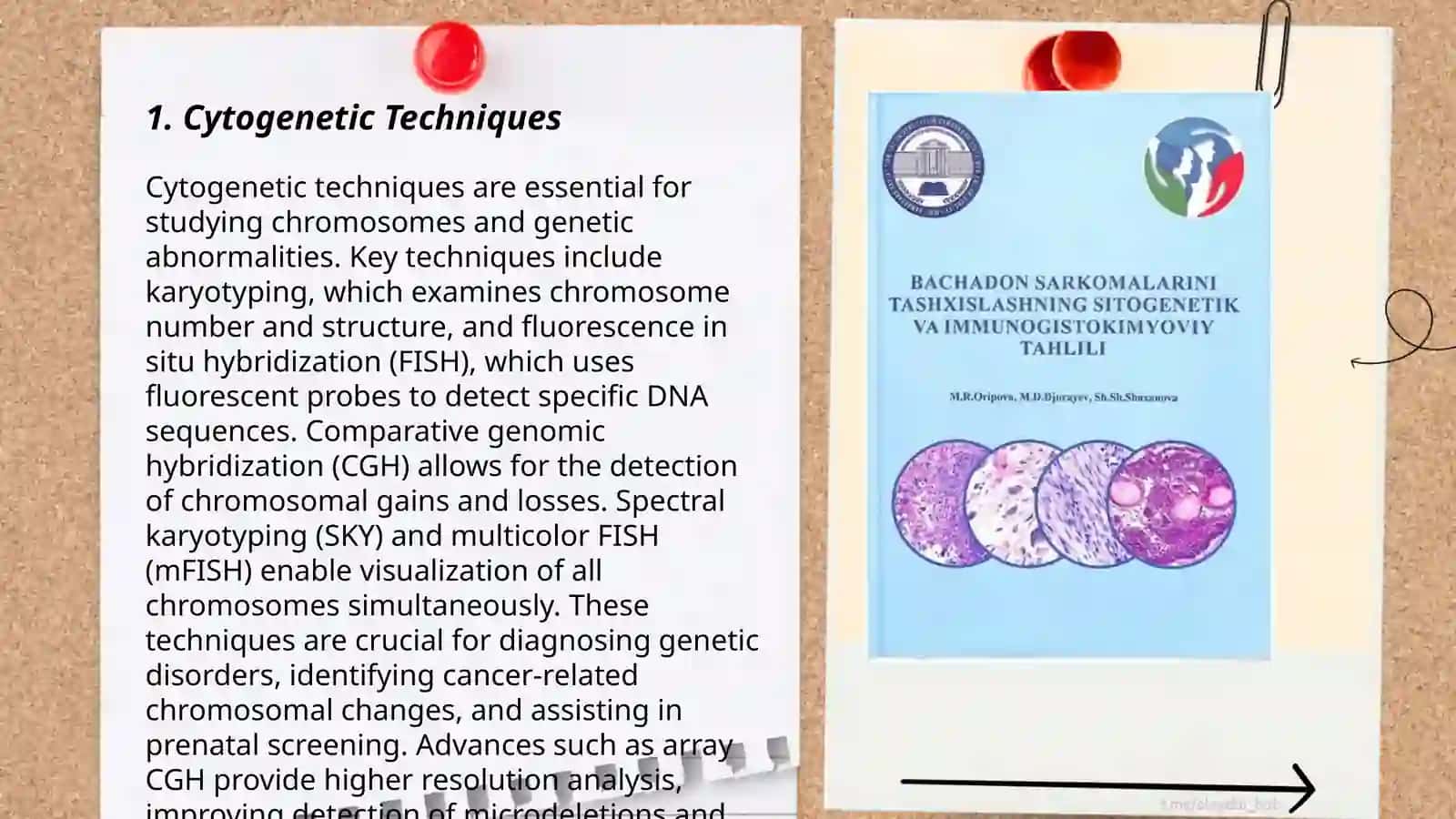 Odam genetikasining oʻrganish usullari 3