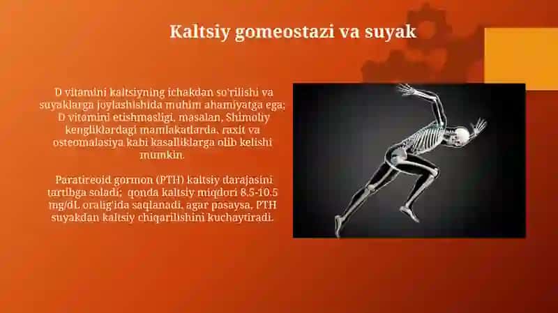 Skelet tizimini fiziologiyasi 3