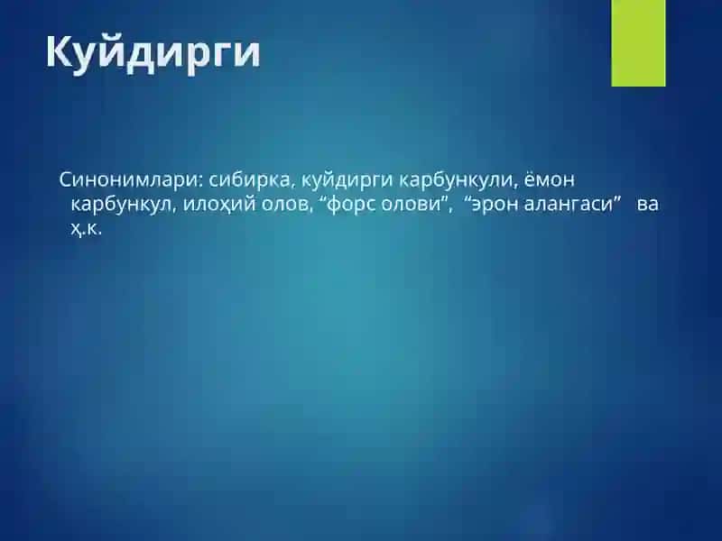 Куйдирги(Anthrax)  KUYDIRGI 3