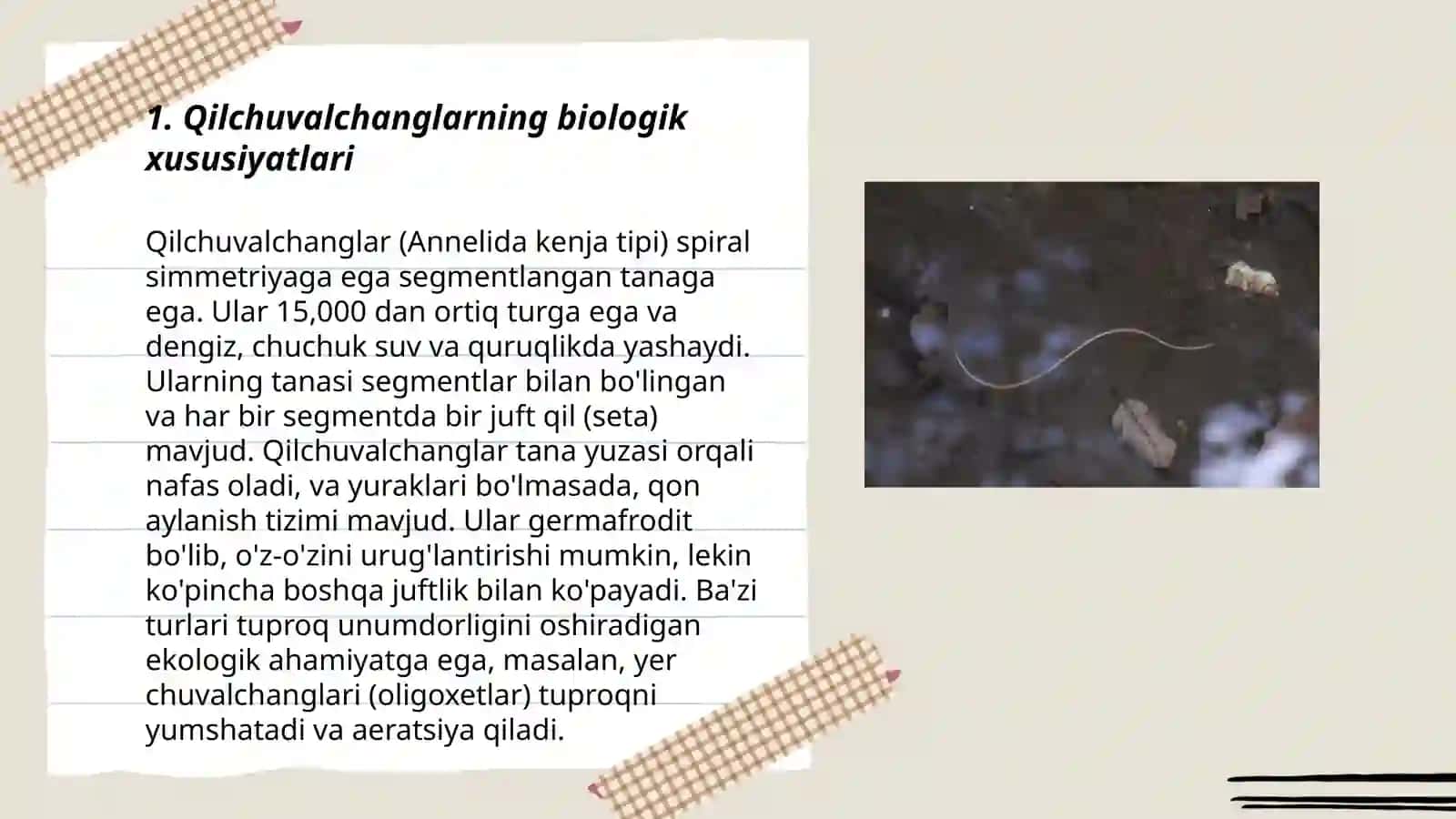 Qilchuvalchanglar(Nematomorpha) 3