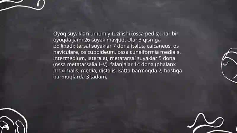 Oyoq suyaklari Haqida malumot va lotincha nomlari 3