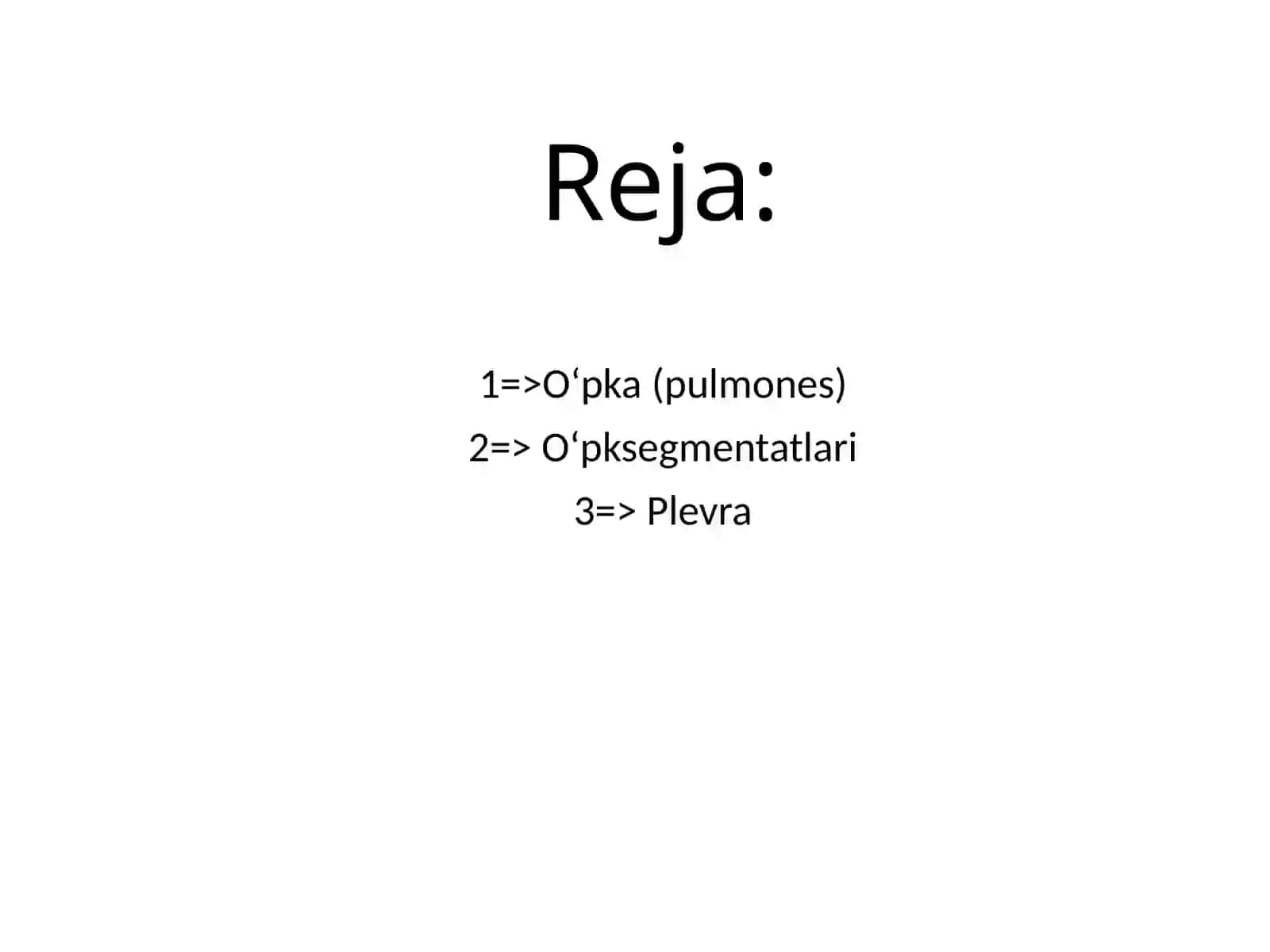 Oʻpka(pulmones) 3