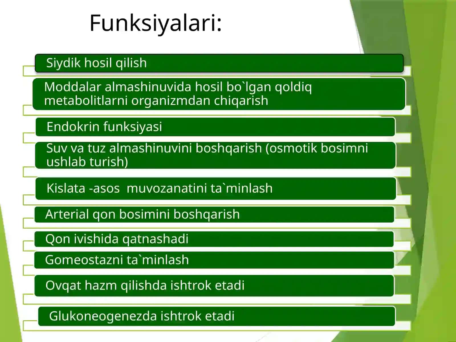 Systemaurinarium 3