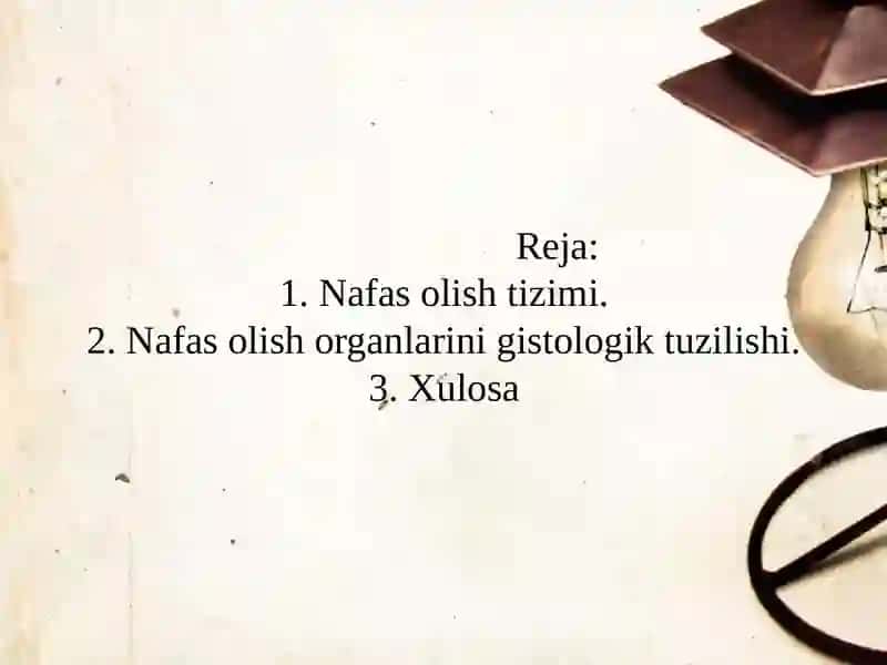 Nafasolish Tizimi 3