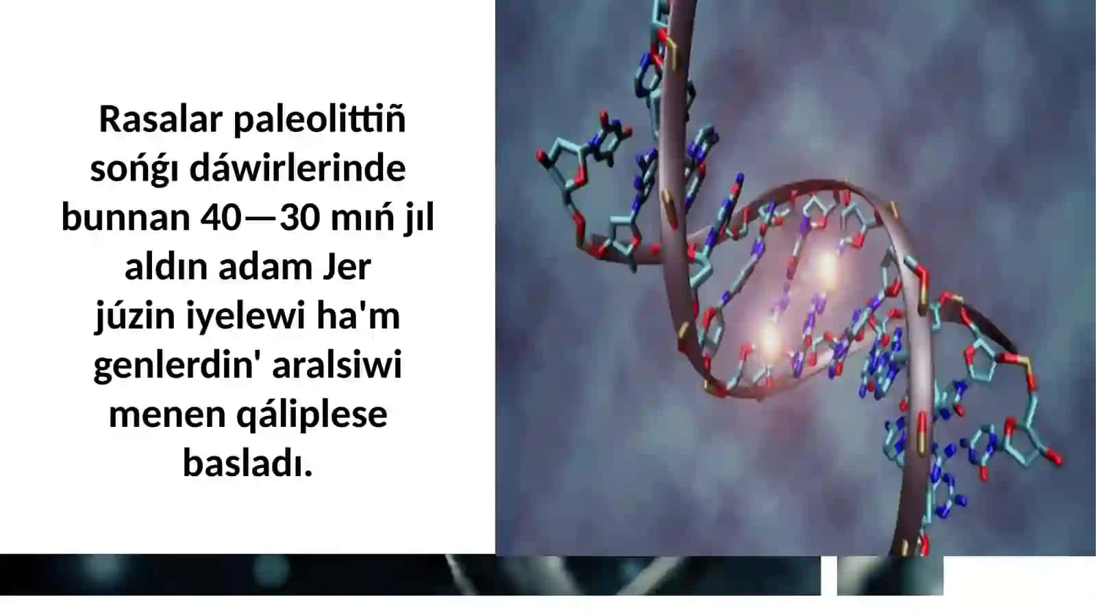 Q.M.UTARIYX FAKULTETI ARXEOLOGIYA QANIGELIGI 1-KURS STUDENTIJAN'ABAEVABUBAKIRDIŃ 3